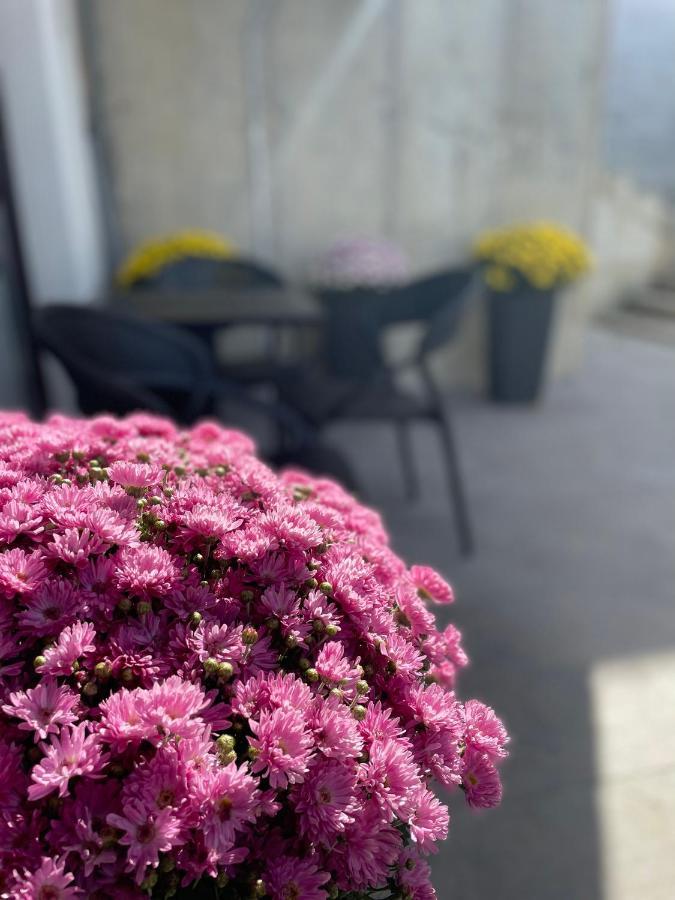 Residence 33 سراييفو المظهر الخارجي الصورة