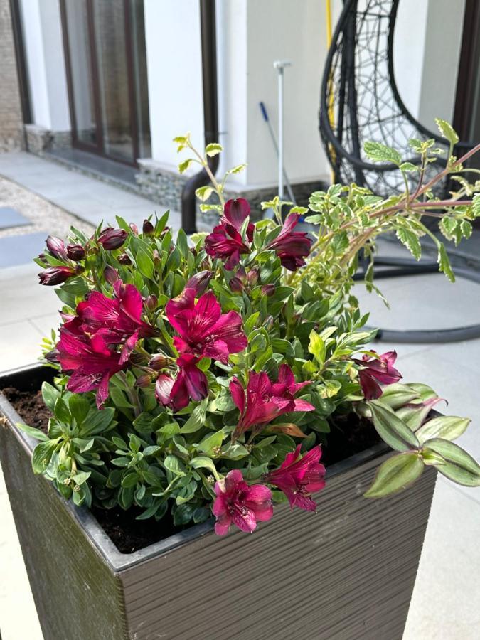 Residence 33 سراييفو المظهر الخارجي الصورة